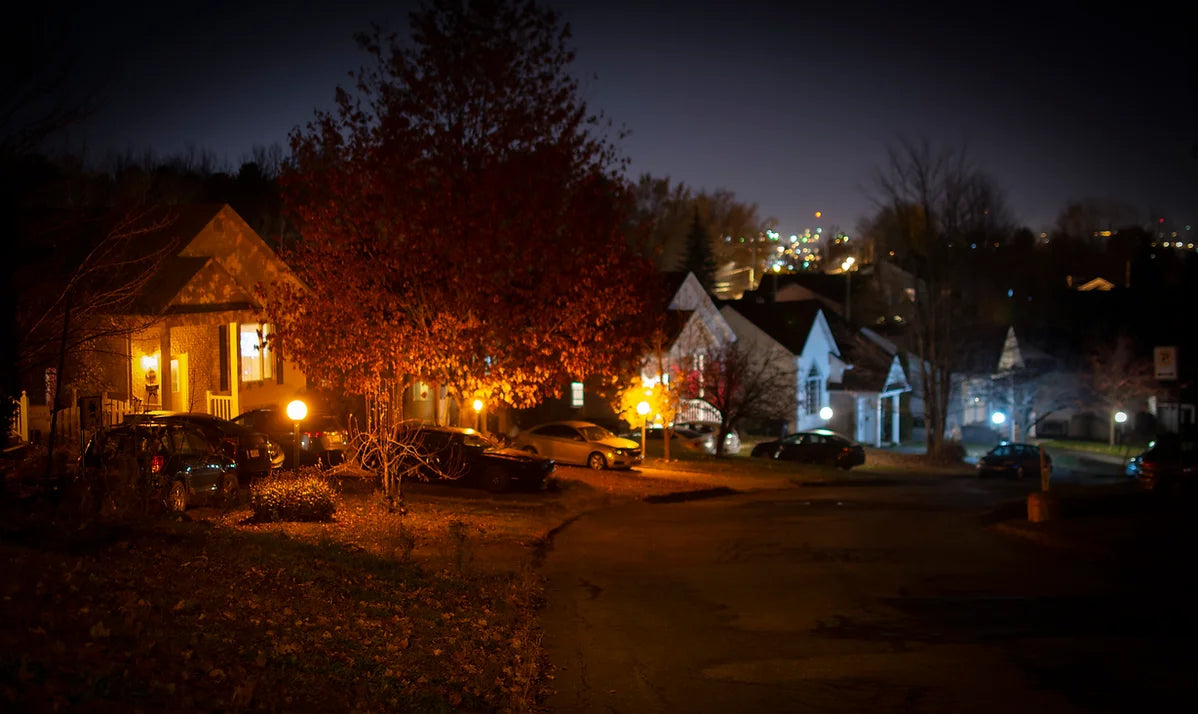 L’Oasis de nuit étoilé_image_2